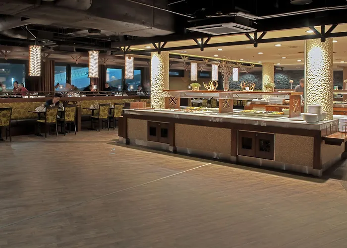 Panorama Hotell Levi